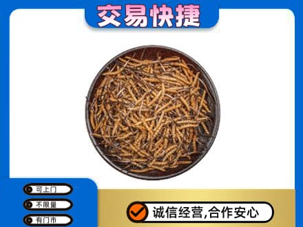 梅州礼品回收虫草.jpg
